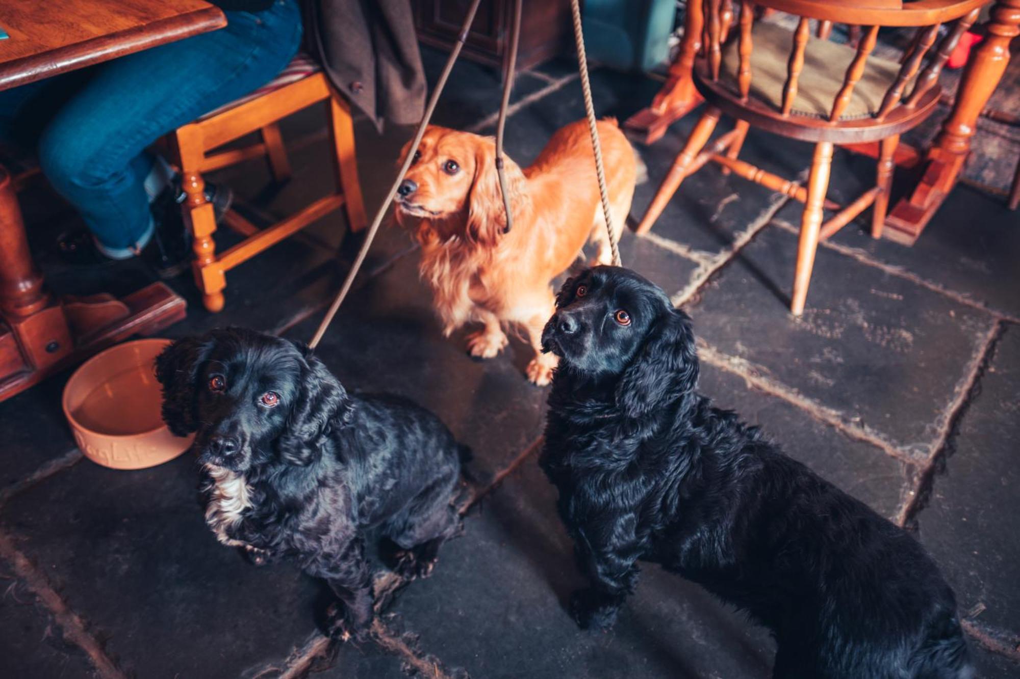 The White Horse Inn Bunkhouse Threlkeld Экстерьер фото